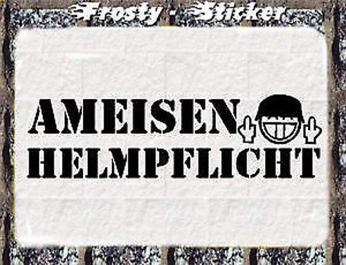 Helmpflicht