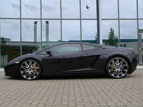 Gallardo-1