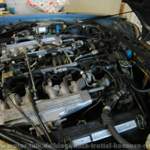 Wer suchet der findet!