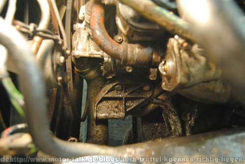 Komplett eingekleistert