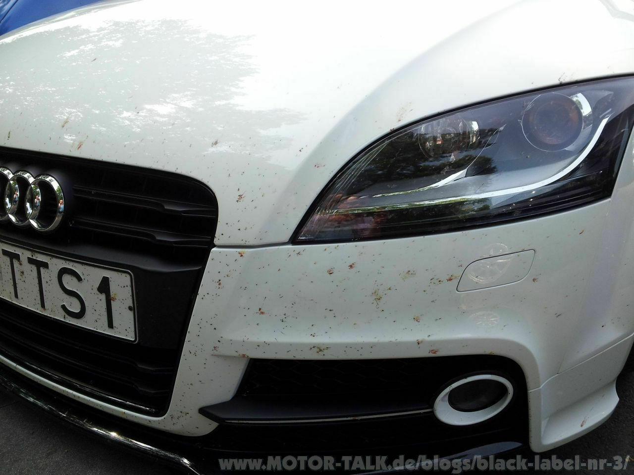 Nun denn. 3. Versuch.