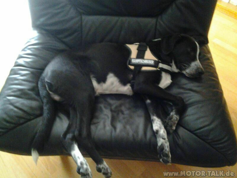 Vielleicht so: Ein Witzefred - um die Biker auf zu lockern