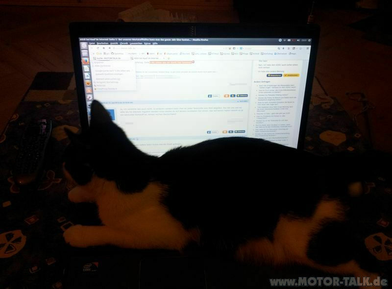 Aufteilung des Fahrzeugpflegeforum in mehrere Unterforen!