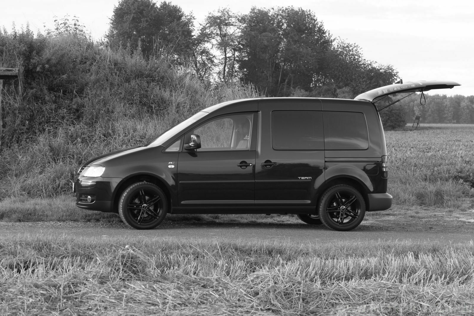 Die schönsten Caddybilder