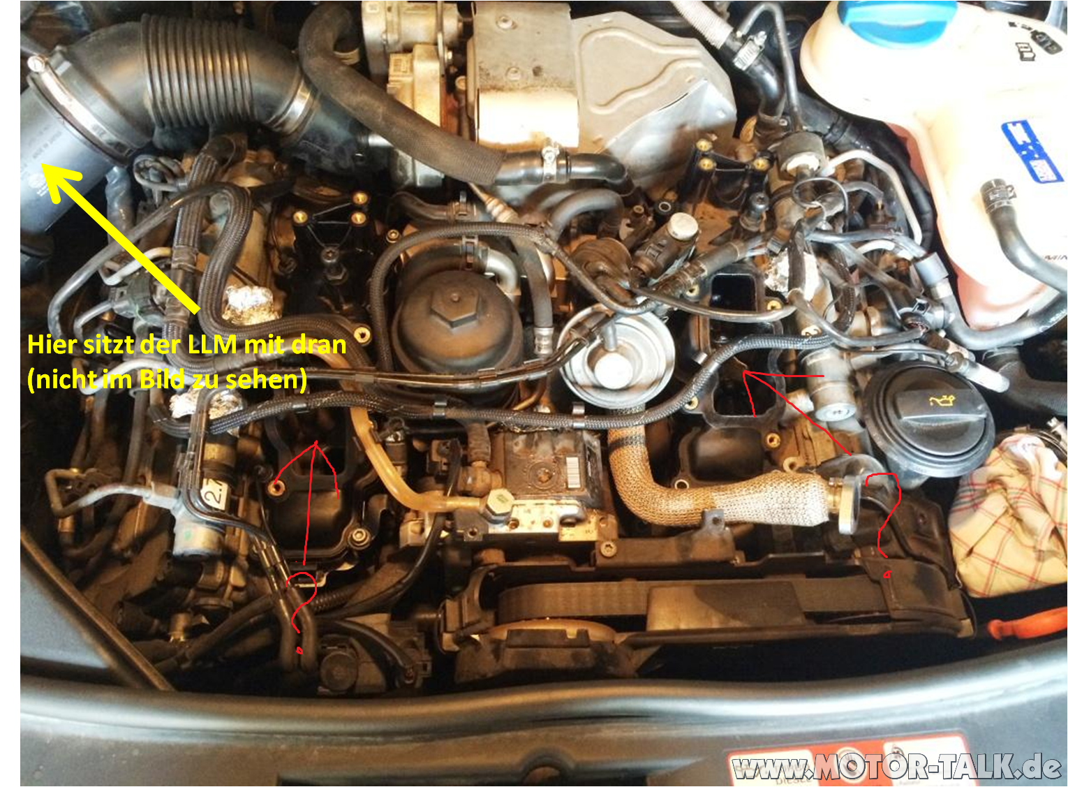 bild1-3635678184748280861