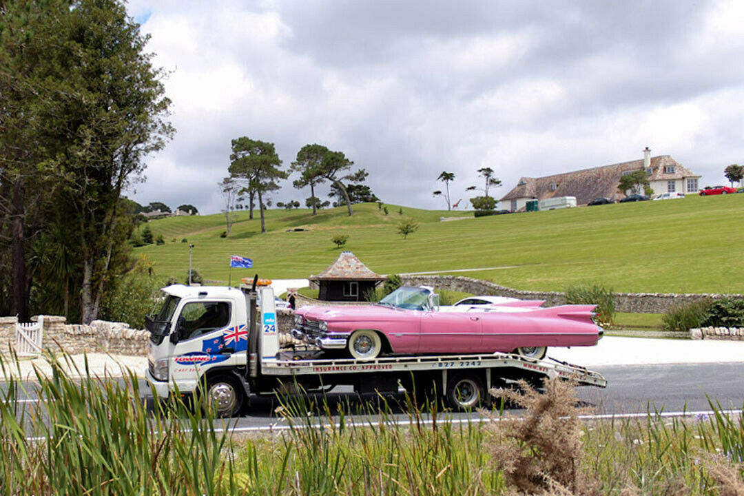 Ein pinkfarbener Cadillac aus dem Jahr 1959 gehörte ebenfalls zu der Sammlung von Kim Dotcom