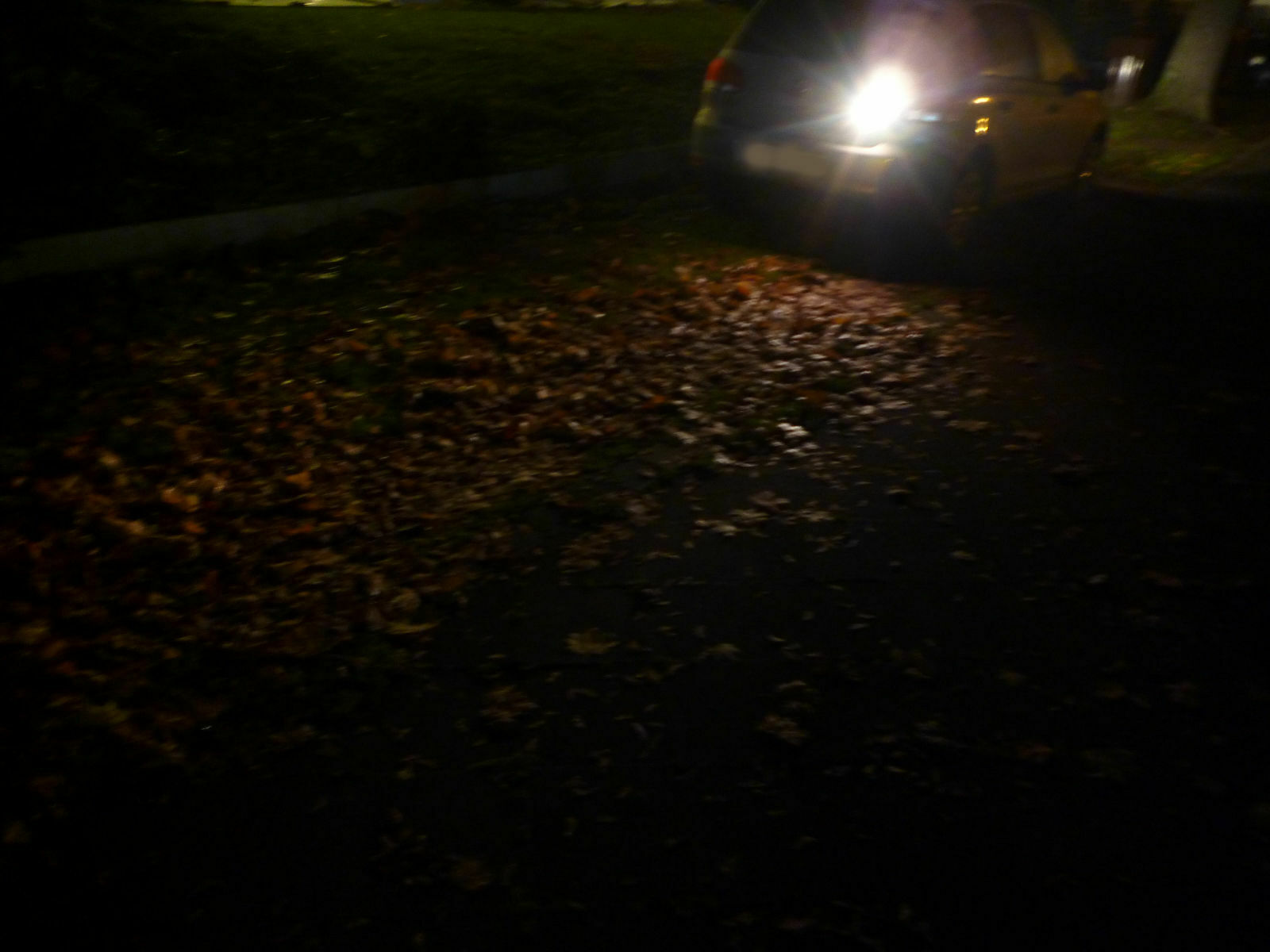 Golf 6 GTD: Fakten und Bilder