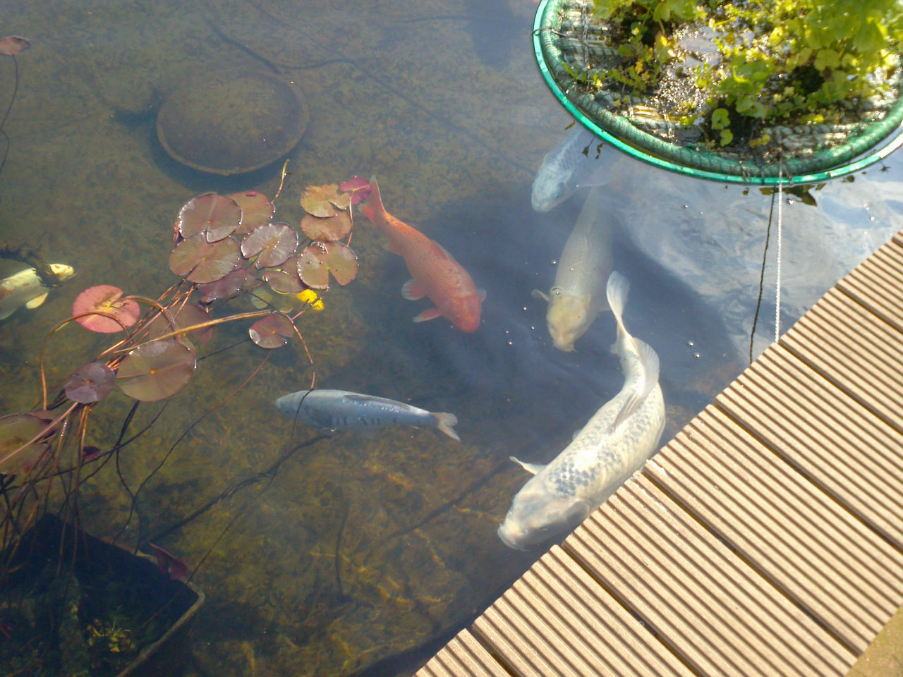 2014-10-18 22 kWp PV-Anlage incl. Speicher mit 47 nutzbaren kWh