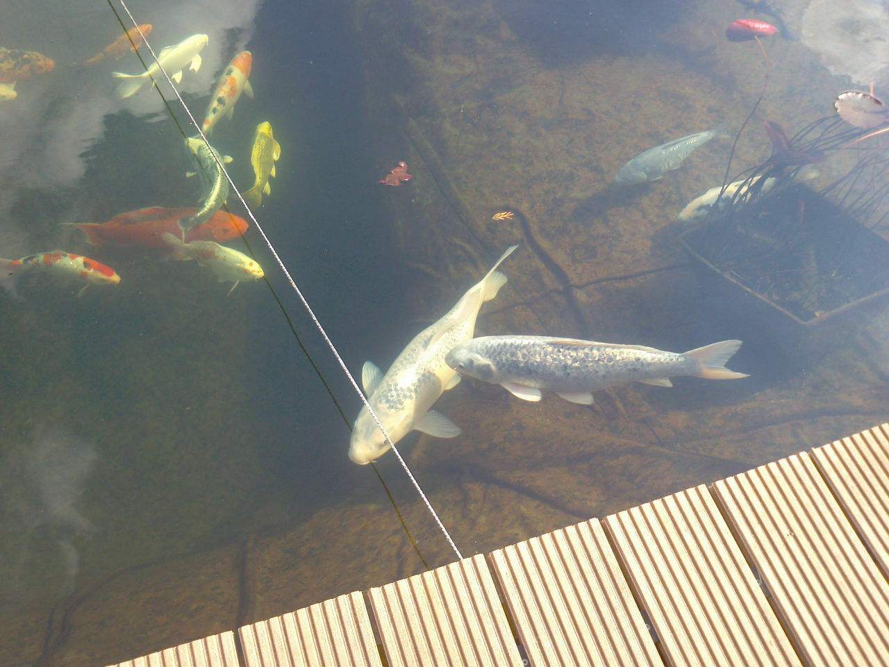 2014-10-18 22 kWp PV-Anlage incl. Speicher mit 47 nutzbaren kWh