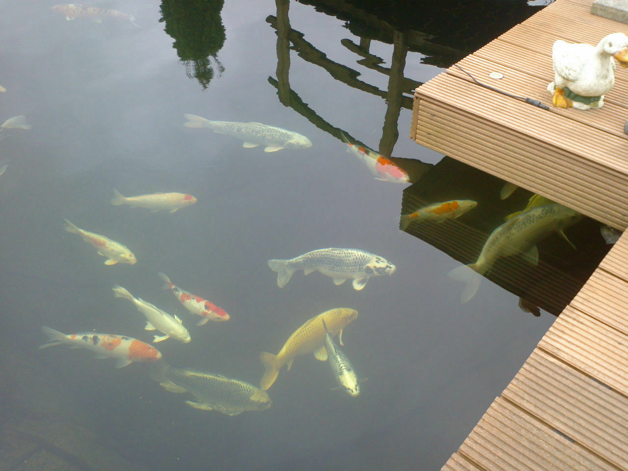 2014-10-18 22 kWp PV-Anlage incl. Speicher mit 47 nutzbaren kWh