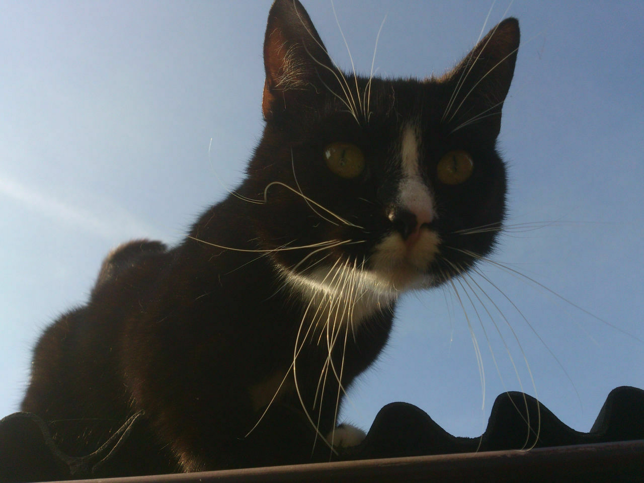 Der Schrottplatz - Spiegelsymmetrisch des Showrooms