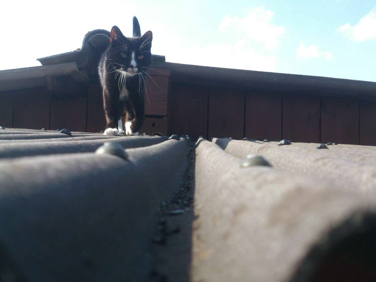 Der Schrottplatz - Spiegelsymmetrisch des Showrooms