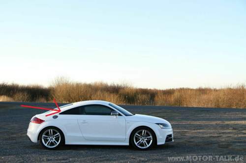 Img-9500-4177273621334957743