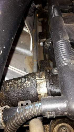 11855869-911589482254774-3701073956718414466-n