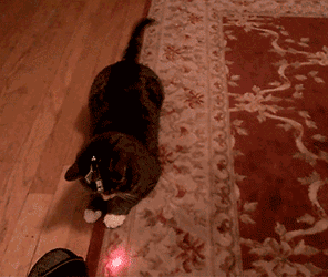 Tumblr-nb7eimhpil1s2yegdo1-400