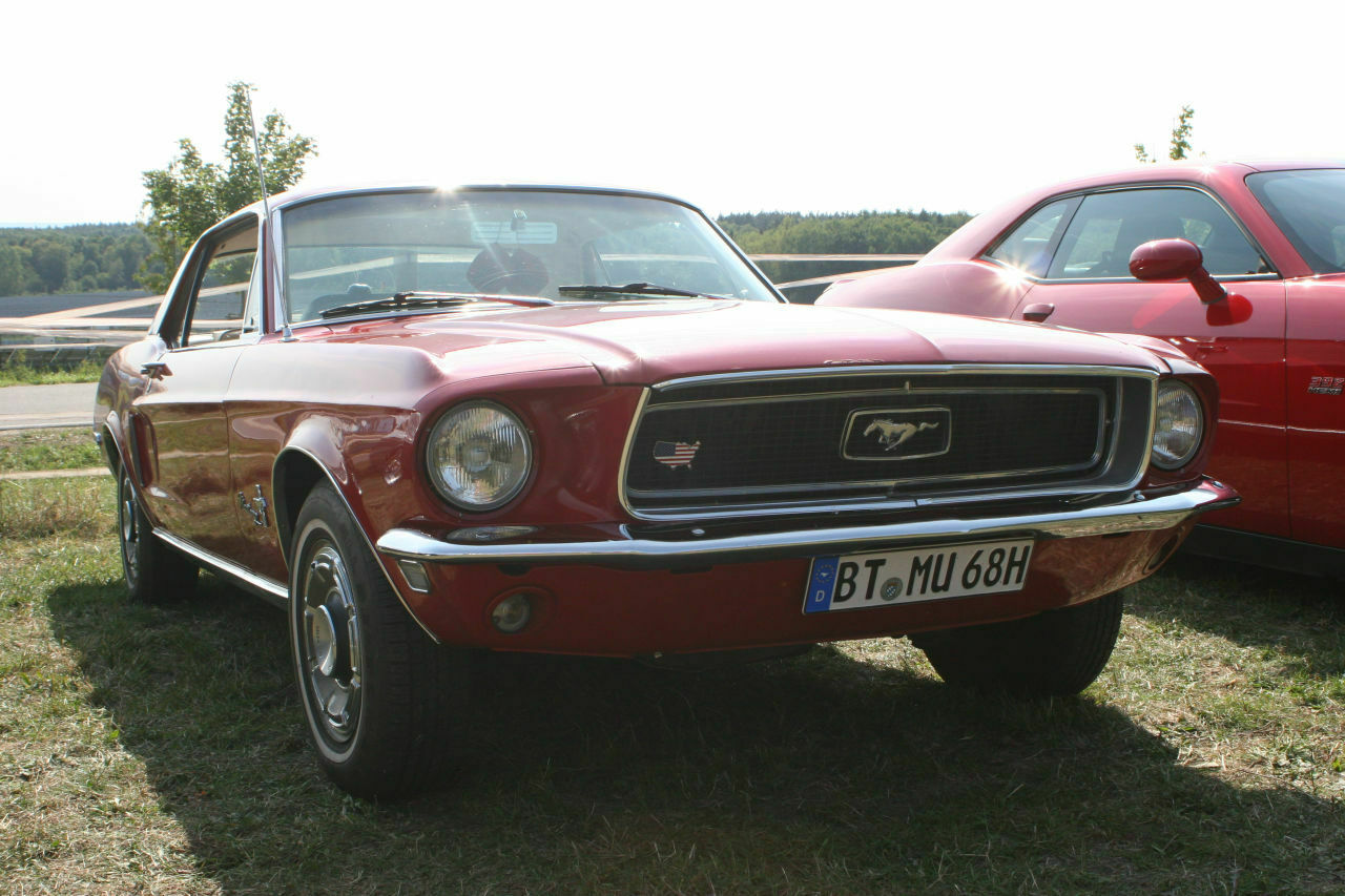 Sehr schönes Pferdchen!