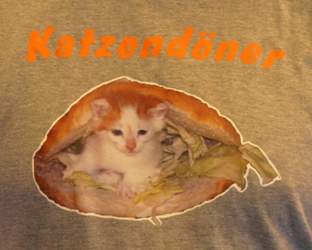 P5190935b1-jpg-w-560-h-448