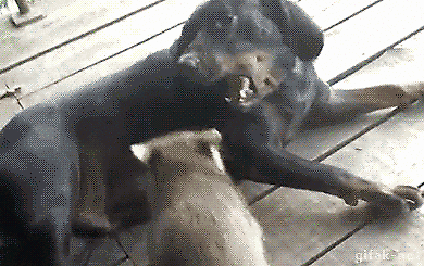 Toms Diskusions - Ecke