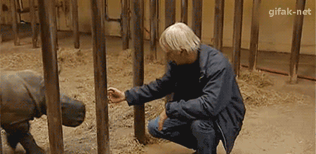 Toms Diskusions - Ecke