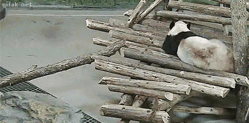 Toms Diskusions - Ecke