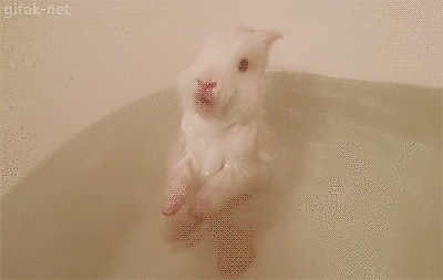 Toms Diskusions - Ecke