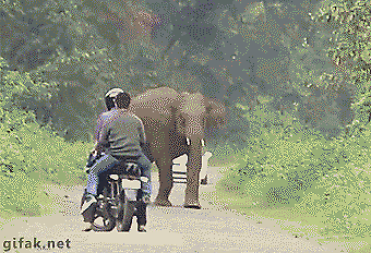 Toms Diskusions - Ecke