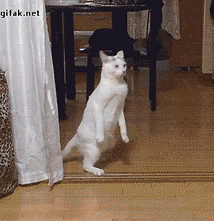 Gut versichert? oder Muss denn alles versichert werden?