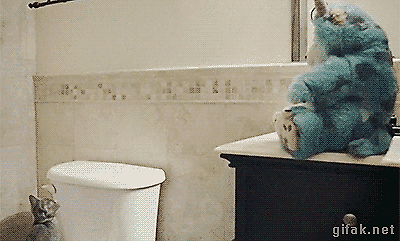 Gut versichert? oder Muss denn alles versichert werden?