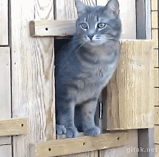 Gut versichert? oder Muss denn alles versichert werden?