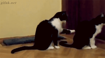 Gut versichert? oder Muss denn alles versichert werden?