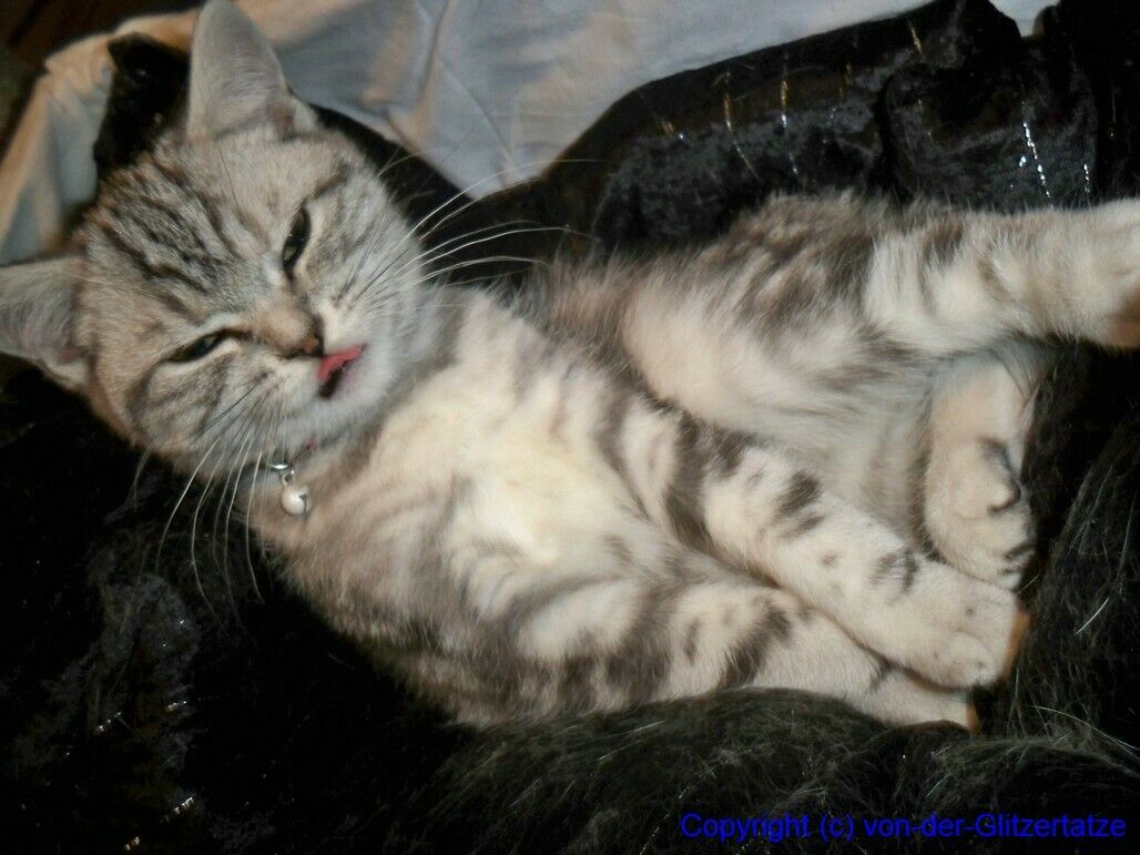 Der Schrottplatz - Spiegelsymmetrisch des Showrooms