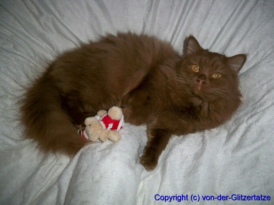 Der Schrottplatz - Spiegelsymmetrisch des Showrooms