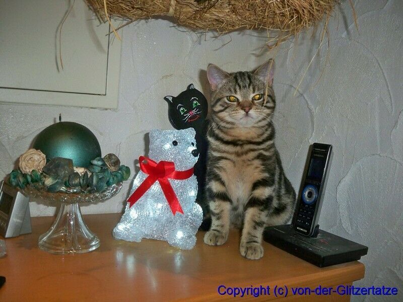 Der Schrottplatz - Spiegelsymmetrisch des Showrooms