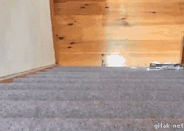 Toms Diskusions - Ecke