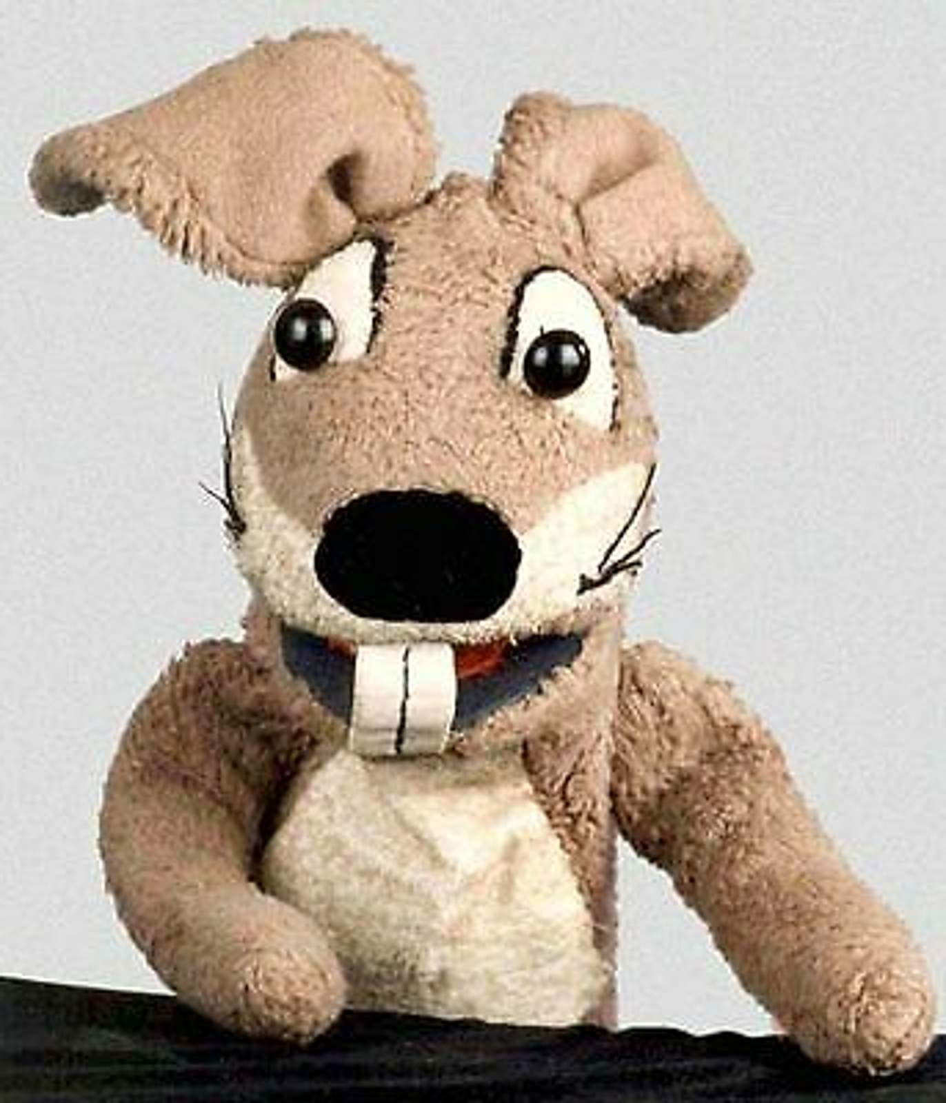 3304010-1413602-highres-maxh-480-maxw-480-hase-c-25c3-25a4sar-2528media-669393-2529