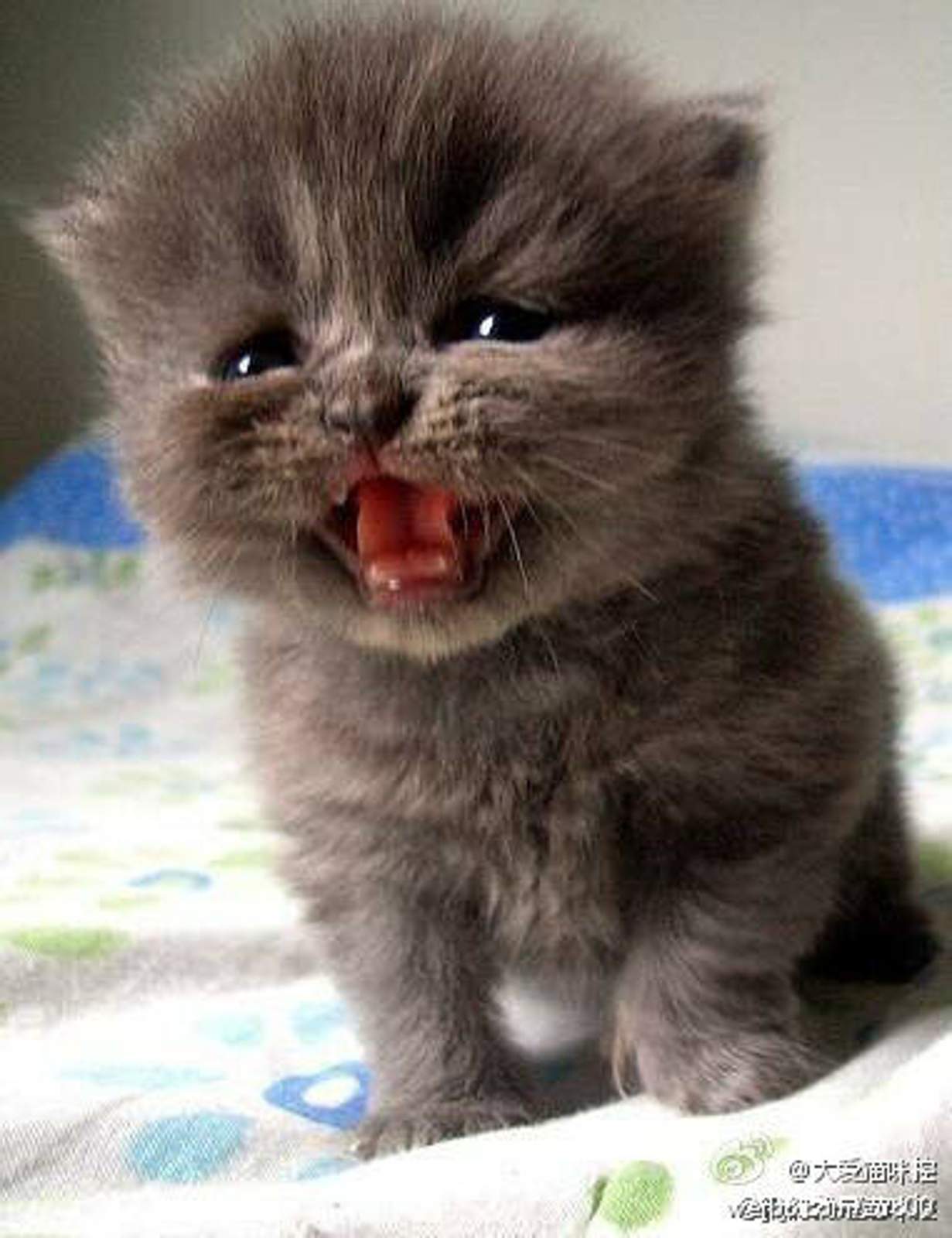 728da9773912b31be5e14bbf8718367adbb4e193