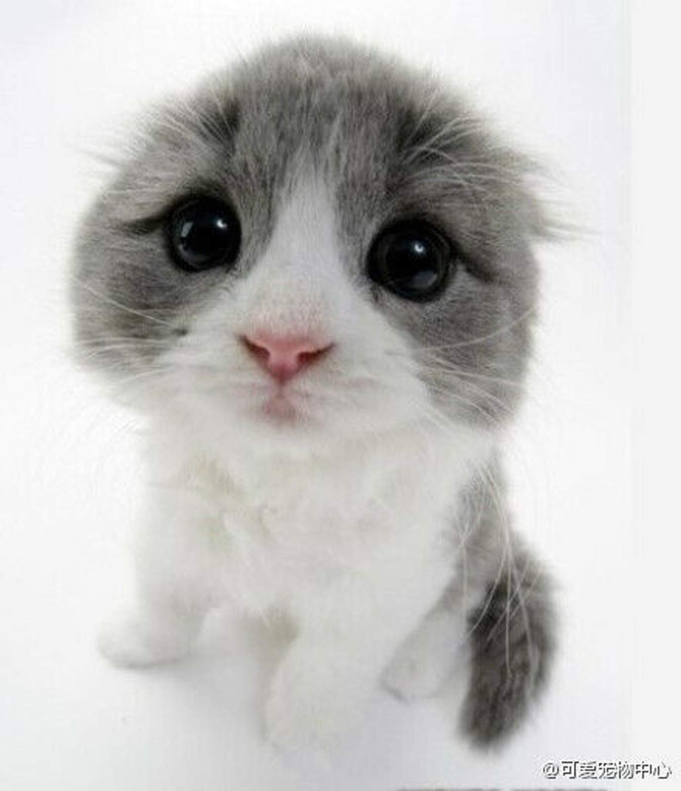 bf096b63f6246b60980934e2eaf81a4c510fa225