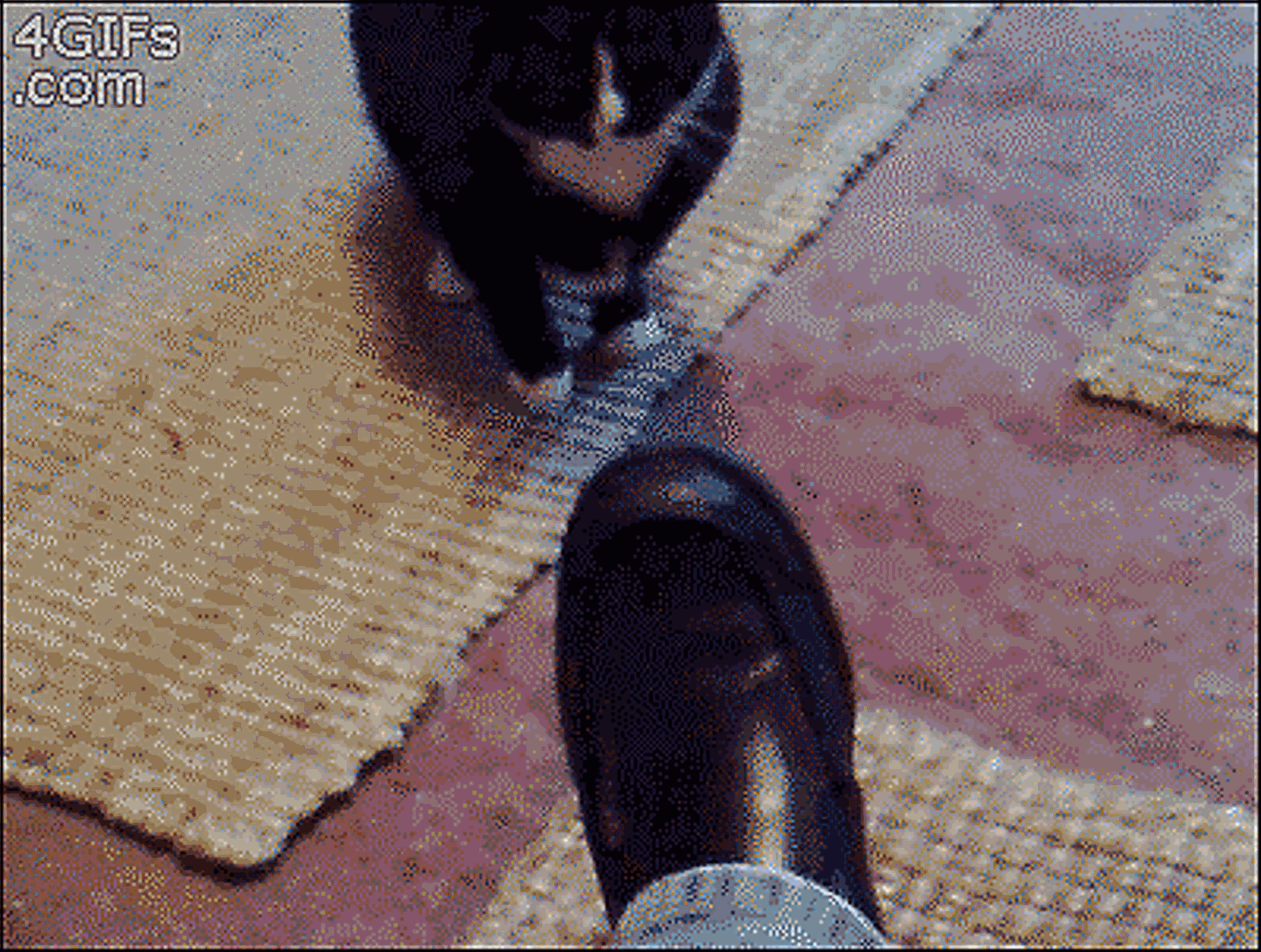 10dfa9ec8a1363271a4545a5908fa0ec09fac7f8