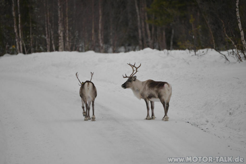 Der XC90 legt sein Tarnkleid ab...