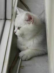 Nico-2015-03-24-10-31-51