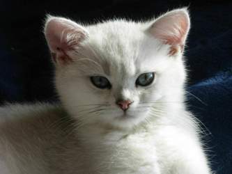 Nico-2015-03-25-12-15-46