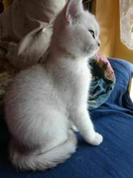 Nico-2015-03-24-15-43-04