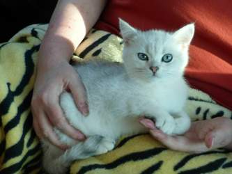 Nico-2015-03-22-16-58-42