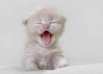 Aa64034f78f0f736ee65cf700a55b319ebc41323