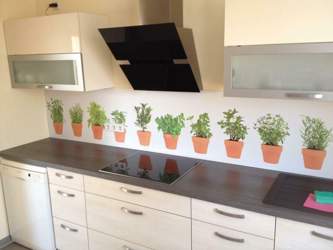 10376148-943435645669468-5747905080515882288-n