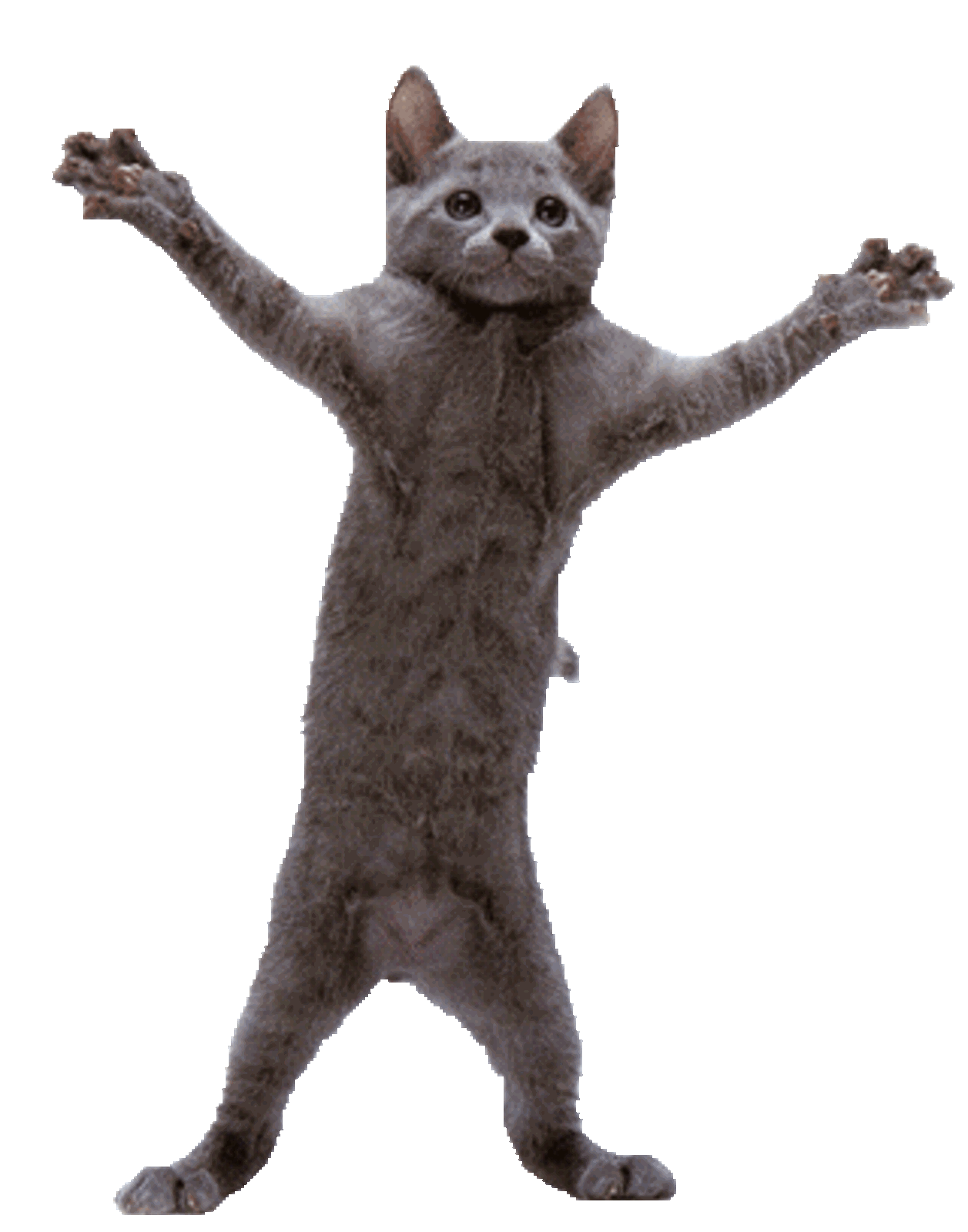 linkpicsde-13918-320-407