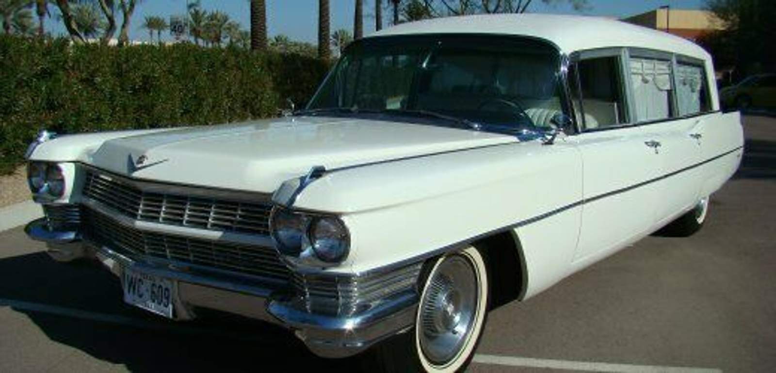 image-296069-panov9free-qcqr