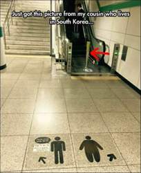 Nicht-fuer-sumoringer-geeignet