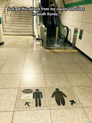 Sticker-fat-person-stairs-gym-1