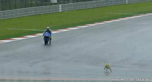 11103039-1031966763483716-434599768058084172-o